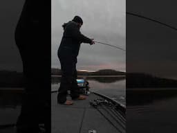 💥 This Jig Trailer Gets A TON Of Bites! 💥