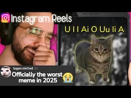 The cat that took over Instagram reels 😭