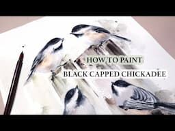 Birds Watercolor Tutorial | How To Paint Black Capped Chickadee