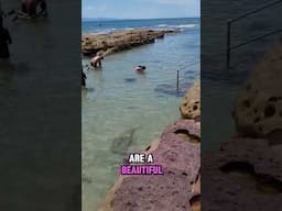 Tiki Tour Australia - Currarong Rock Pools