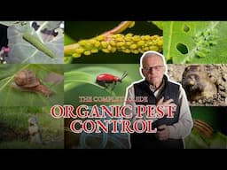 The Complete Guide To Organic Pest Control (aphid, thrip, slugs, moles, sawflies, and more!)