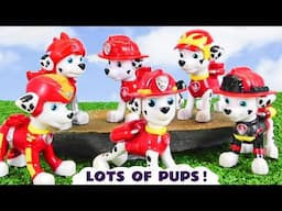 Fun Magic Story with lots and lots of Toy Paw Patrol Pups