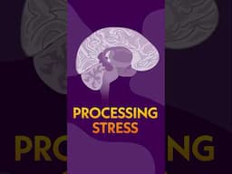 How The Brain Processes Stress and Trauma