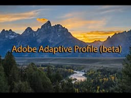 October Tip of the Month - Adobe Adaptive Profile