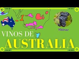 VINOS de AUSTRALIA 🍇[Los climas, uvas y regiones vinícolas]