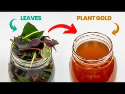 The Genius Way To Turn Leaves Into Plant Gold