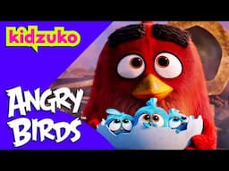 🧣 Red Saves the Baby Hatchlings 🐣 | Angry Birds | Best Bits! | @Kidzuko