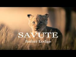 Savute Safari Lodge - Botswana