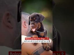 Balanced Diet For Dogs 🦮 - कही आप भी ये गलती तो नहीं कर रहे ❗