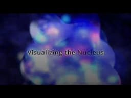 Visualizing the Nucleus