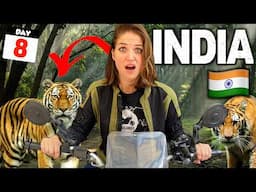 8🇮🇳 Is This India’s Most Dangerous Motorcycle Ride? 😱 2 Tiger Reserves! (Mudumalai /Bandipur)