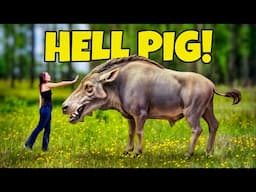 We Found a HELL PIG! Our RAREST Fossil Find Ever! | Florida Entelodont (Daeodon/Dinohyus)