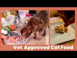 Boost your Cat's Vitality and Immune system with vet-approved DIY Cat food