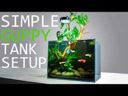 How to Setup a Simple Guppy Fish Tank: TUTORIAL