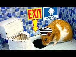 🐹 Hamster Bank Robbery and Escapes Awesome Maze 🐹 Hamster Stories