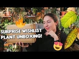 First plant unboxing of 2025!📦 Wishlist Hoya and 3 surprises🌿