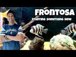 Frontosa | *Starting Something New*