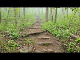 Appalachian Trail, Approach trail- Seeing Chad off on his through hike of the Appalachian Trail.