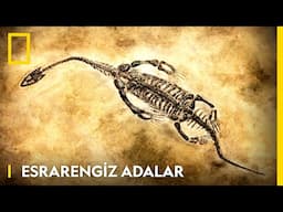 Esrarengiz Adalar | National Geographic