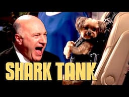 The Sharks Can't Stop Laughing At ZugoPet | Shark Tank US | Shark Tank Global