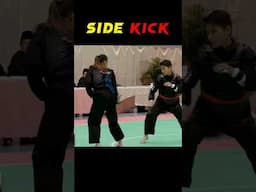 Side Kick KO #sidekick #knockoutkick #martialarts #kungfu #silat #shorts #ytshorts #shortsfeed