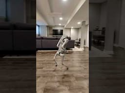 Robot Dog learns how to STAND on two feet 😱 #robot #robotdog