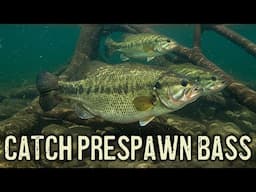 Winning Strategies - Prespawn Fishing Secret Tips & Tactics