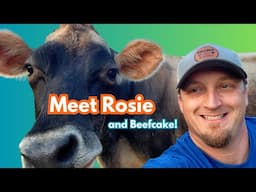 Meet Rosie and Beef Cake! - We Adopted a Jersey and Her Calf