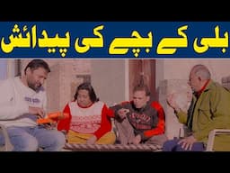 Rana Ijaz New Funny Video | Standup Comedy By Rana Ijaz | Rana Ijaz New Prank | #funny #ranaijaz