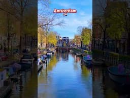 Amsterdam The Netherlands 🇳🇱 #nature #amsterdam #netherlands