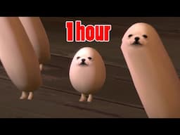 meet eggdog for 1 hour (seamless)