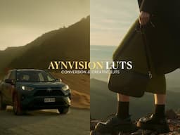 Aynvision LUTs