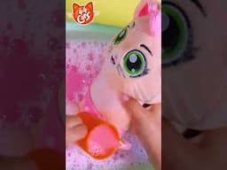 Pilou's Colorful Bath Time! 🚿🧼️ #shorts | 44 Cats