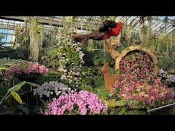 ORCHID FESTIVAL 2025 at Kew Gardens FULL TOUR 🇵🇪🦙🌺