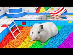 🌈 DIY Hamster Maze | Colorful Ball Pool