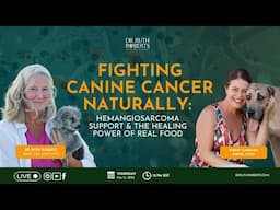 Fighting Canine Cancer Naturally: Nacho’s Hemangiosarcoma Journey & the Healing Power of Real Food