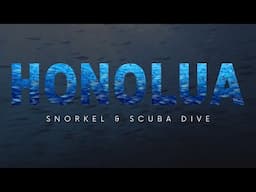 Snorkel & Scuba Dive at Honolua Bay | Maui, Hawaii