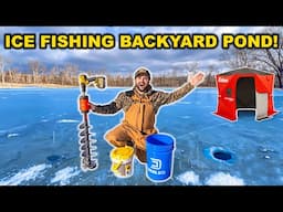 My FIRST TIME Ice Fishing the BACKYARD POND!!! (Did the Big Bass Survive?)