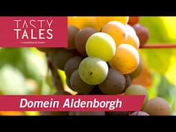 DOMEIN ALDENBORGH (Eys) • Premium quality natural wines from the Netherlands  • Tasty Tales