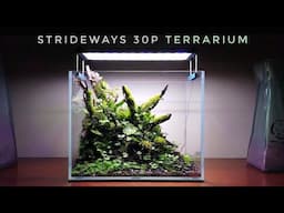 MY Strideways 30P Terrarium | All you need to know to build one