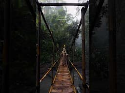 Amongst the jungle #Ubud #Bali 🌿💭