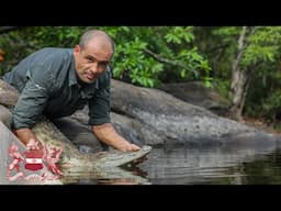 The Return of the Siamese Crocodile | Pablo Sinovas