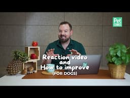 PhD Wildlife Nutritionist Reacts to Popular Home-Cooked Dog Food Recipe - With Tips to Improve