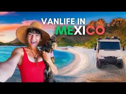 Van Camping on the Beach In Mexico & Cooking Fish Tacos!