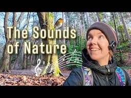 Nature's Beauty Through Photos and Sounds | Immersive Audio-Visual Experience