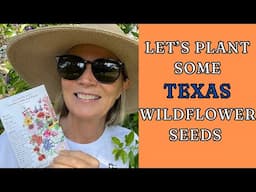 Planting Texas Wildflower Seeds, Amaryllis check up, & Basil Harvest