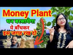 पैसा बरसेगा Money Plant Ritual 2025 कर दो Money plant Direction in Home| Money plant for money