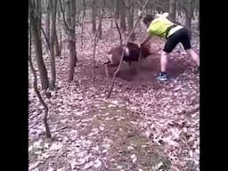 Goat, Stuck On Tree Gets Rescued - A Translation