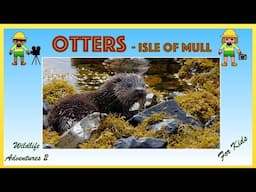 Otters for Kids | Searching for otters on the Isle of Mull