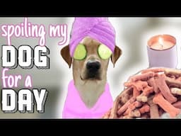 Spoiling my Dog for a Day!